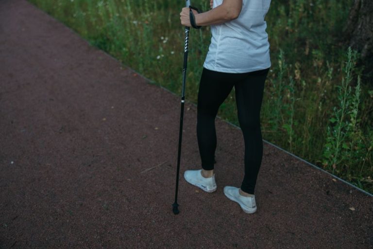 Begleitung & Spaziergänge